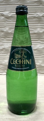 cechini 1.JPG