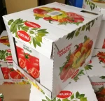 Fortuna Sok pomidorowy 100% 1l - karton