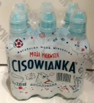 Cisowianka 0,33l niegazowana - karton