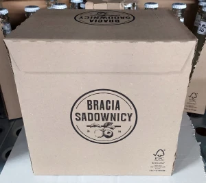 Bracia Sadownicy Musujące Jabłko i Imbir 275 ml - karton