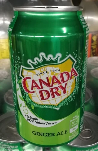 canada dry 1.jpg