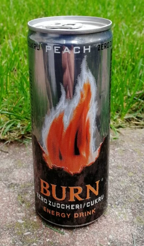 Burn Zero 330ml.jpg