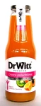 DrWitt 1l owoce - południowe